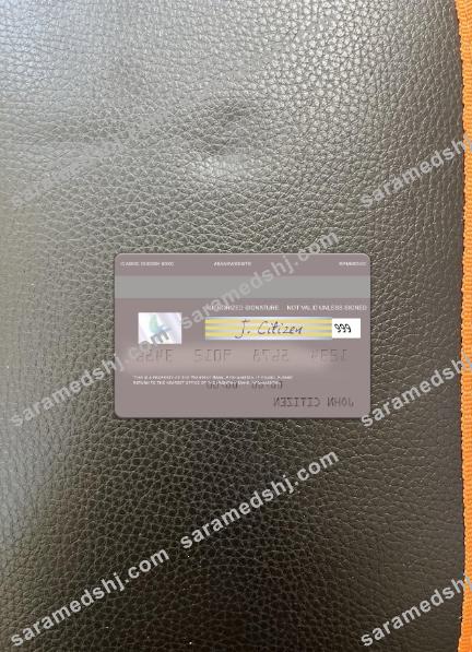 Afghanistan Pashtany Bank visa card photolook back